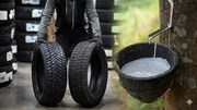 TT cao su châu Á ngày 5/6: Giá tại Nhật Bản hướng tới tuần tăng thứ hai liên tiếp