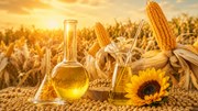 Diễn biến giá nông sản thế giới hôm nay 10/7/2026
