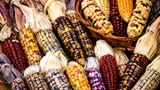 Diễn biến giá nông sản thế giới hôm nay 26/6/2026