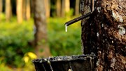 TT hàng hoá thế giới ngày 7/8: Nguồn cung thắt chặt và rủi ro địa chính trị đã tạo động lực mới cho giá