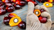 Chính phủ Indonesia đã triển khai kế hoạch toàn diện nhằm siết chặt xuất khẩu các mặt hàng chiến lược