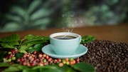 TT cà phê ngày 6/2: Tiêu thụ cà phê toàn cầu được dự báo ở mức kỷ lục 173,9 triệu bao trong chu kỳ hiện tại