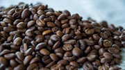 TT cà phê ngày 10/3: Nhu cầu toàn cầu vẫn cho thấy sự ổn định
