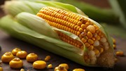 Bảng giá nông sản thế giới hôm nay 6/8/2025