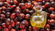 Bảng giá nông sản thế giới hôm nay 27/8/2025