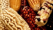 Bảng giá nông sản thế giới hôm nay 9/7/2025