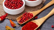 TT hạt tiêu ngày 28/5: Thế giới đang phải đối mặt với giá cước vận tải biển mới