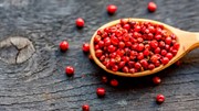 TT hạt tiêu tuần đến ngày 2/6: Giá trong nước chưa thể sớm phục hồi