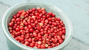 TT hạt tiêu ngày 20/5: Sức mua yếu khiến giá tiêu chưa bứt phá như kỳ vọng