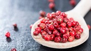 TT hạt tiêu ngày 17/7: Dự báo giá tiêu sẽ tiếp tục biến động trong biên độ hẹp