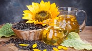 Bảng giá nông sản thế giới hôm nay 16/10/2025