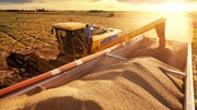 Giá ngũ cốc ngày 30/9/2022: Lúa mì tăng ngô và đậu tương giảm
