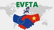 Hơn 40% doanh nghiệp hưởng lợi từ EVFTA