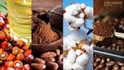 Giá nguyên liệu công nghiệp thế giới ngày 28/3/2023