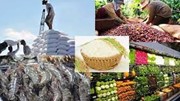 Xuất khẩu nông, lâm, thuỷ sản trong 5 tháng thu về hơn 20 tỷ USD