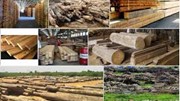 Giá nguyên liệu công nghiệp thế giới ngày 8/6/2023