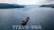 Ukraine xuất khẩu lượng hàng hóa kỷ lục qua Biển Đen