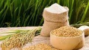 TT lúa gạo hôm nay ngày 13/5 điều chỉnh tăng với gạo