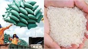 Thị trường nông sản: Xuất khẩu gạo đạt trên 4,8 triệu tấn