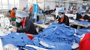 5 năm EVFTA: Quan hệ thương mại Việt Nam-EU tăng trưởng ổn định và mạnh mẽ