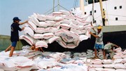 Tăng cường giải pháp thúc đẩy xuất khẩu, ổn định thị trường gạo 