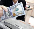 Giá đồng USD ngày 20/5 neo gần đỉnh 6 tuần do kỳ vọng Fed tăng lãi suất