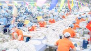 Doanh nghiệp ngóng thông tin về đàm phán thuế đối ứng 