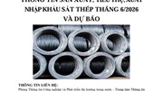 THÔNG TIN SẢN XUẤT, TIÊU THỤ, XUẤT NHẬP KHẨU SẮT THÉP THÁNG 6/2026 VÀ DỰ BÁO
