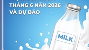 THÔNG TIN THỊ TRƯỜNG SỮA THÁNG 6/2026 VÀ DỰ BÁO