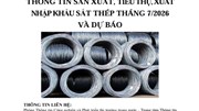 Thông tin sản xuất, tiêu thụ, xuất nhập khẩu sắt thép tháng 7/2026 và dự báo