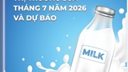 Thông tin thị trường sữa tháng 7 năm 2026 và dự báo