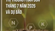Thông tin thị trường phân bón Việt Nam và thế giới 7 tháng đầu năm 2026 và dự báo