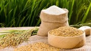 Thị trường lúa gạo ngày 17/8: Giá ổn định, giao dịch chậm, xuất khẩu đi ngang
