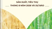 Thông tin mặt hàng gạo - sản xuất, tiêu thụ tháng 8 năm 2026 và dự báo