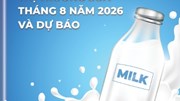 Thông tin thị trường sữa tháng 8 năm 2026 và dự báo