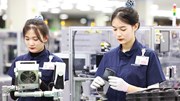 Kế hoạch hành động của Chính phủ thực hiện Nghị quyết số 10-NQ/TW