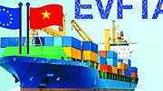 Các cam kết EVFTA về xuất nhập khẩu hàng hóa giữa Việt Nam và Đức
