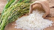 Giá lúa gạo hôm nay 1/7 : Xu hướng đi ngang, giao dịch ổn định