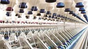Doanh nghiệp Algeria có nhu cầu nhập khẩu thực phẩm, hóa chất, vải sợi, bao bì, thiết bị điện