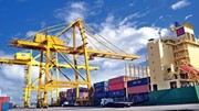 Xuất khẩu nông sản sang EU: Không phải lượng mà là chất