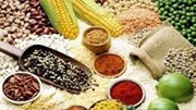 Thị trường hàng hóa trong nước ngày 3/6/2025