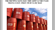 Thông tin thị trường xăng dầu thế giới và Việt Nam 5 tháng đầu năm 2025: Phân tích và dự báo