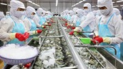 Xuất khẩu thủy sản 2 tháng đầu năm 2023 sụt giảm mạnh