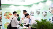 Triển lãm Vinachem Expo và Triển lãm CAC Vietnam 2024 diễn ra từ ngày 27 - 29/11 tại Tp. Hồ Chí Minh