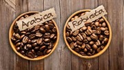 Xuất khẩu cà phê sang các thị trường 4 tháng đầu năm 2024 