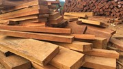Thị trường xuất khẩu gỗ có thể lập kỷ lục trong năm 2024