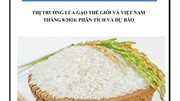 Thị trường lúa gạo thế giới và Việt Nam tháng 8/2024: Phân tích và dự báo