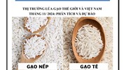 THỊ TRƯỜNG LÚA GẠO THẾ GIỚI VÀ VIỆT NAM THÁNG 11/2024: PHÂN TÍCH VÀ DỰ BÁO