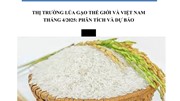 THỊ TRƯỜNG LÚA GẠO THẾ GIỚI VÀ VIỆT NAM THÁNG 4/2025: PHÂN TÍCH VÀ DỰ BÁO