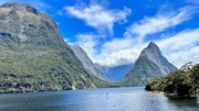 Kim ngạch xuất nhập khẩu Việt Nam - NewZealand năm 2024 giảm 2,9%